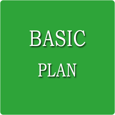 Basic Plan