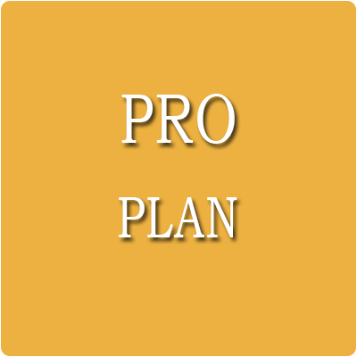PRO Plan